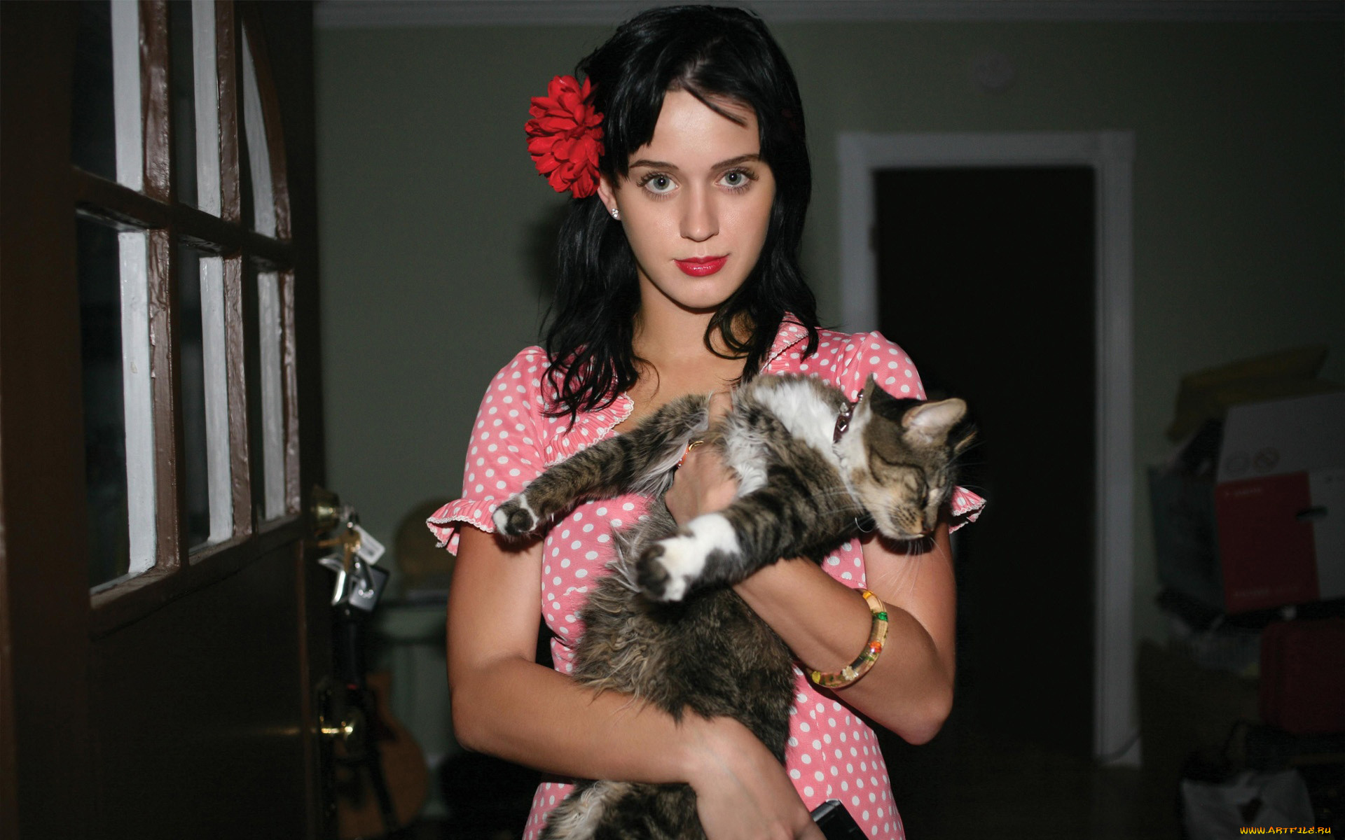 , katy, perry, 
